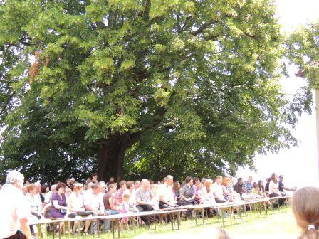 Knobleharjevo 2013 - Dan državnosti z mašo za domovino na Stopnem 3